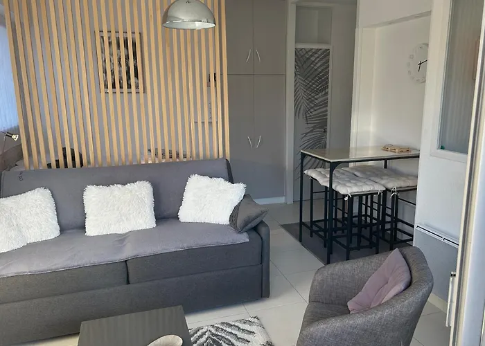La Baule : Studio Mer En Rez De Jardin